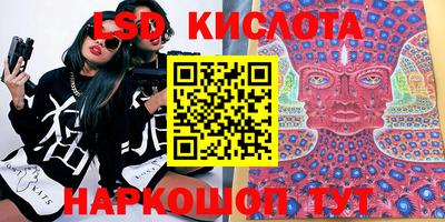индика Новозыбков
