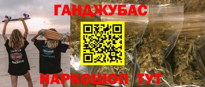 индика Новозыбков