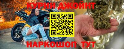 индика Новозыбков
