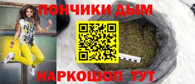 индика Новозыбков