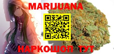индика Новозыбков