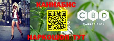 индика Новозыбков