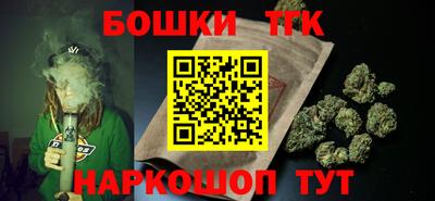 индика Новозыбков