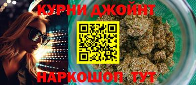 индика Новозыбков