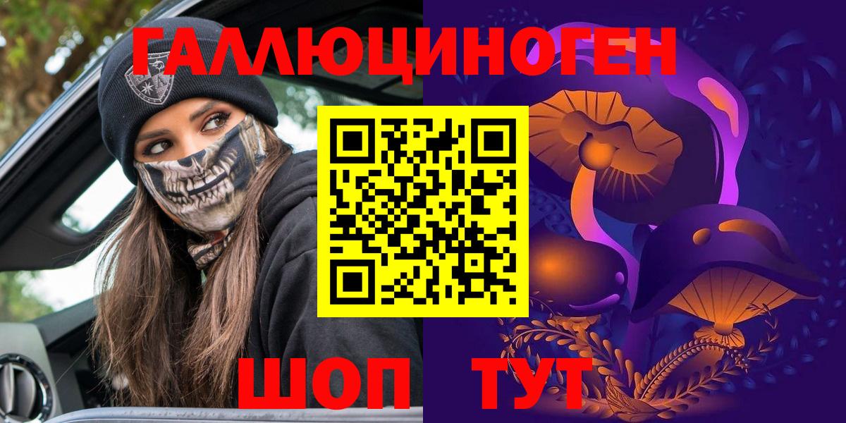 Галлюциногенные грибы Psilocybine cubensis Тимашёвск
